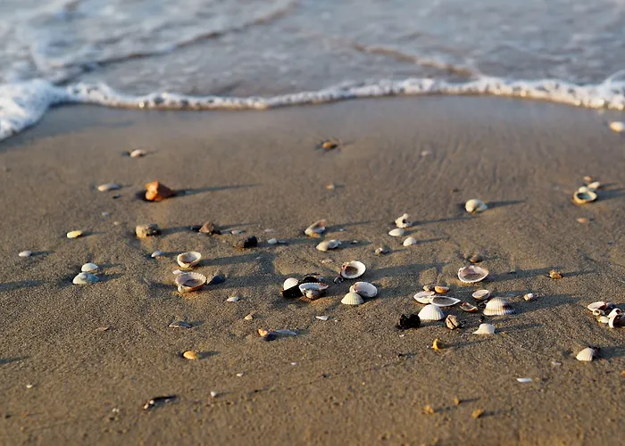 Relax In A With Pool And Terrace *